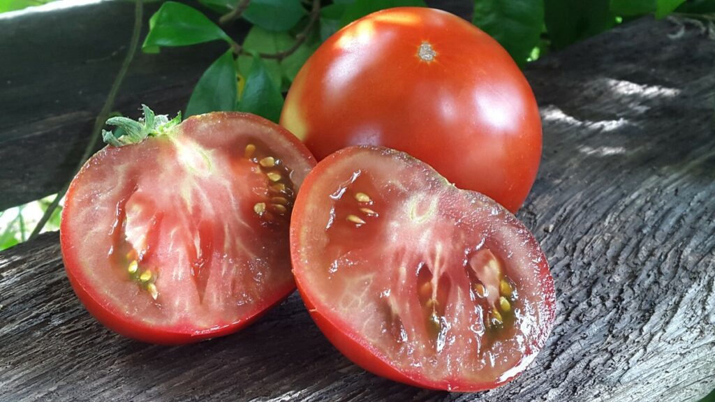tomate juteuse