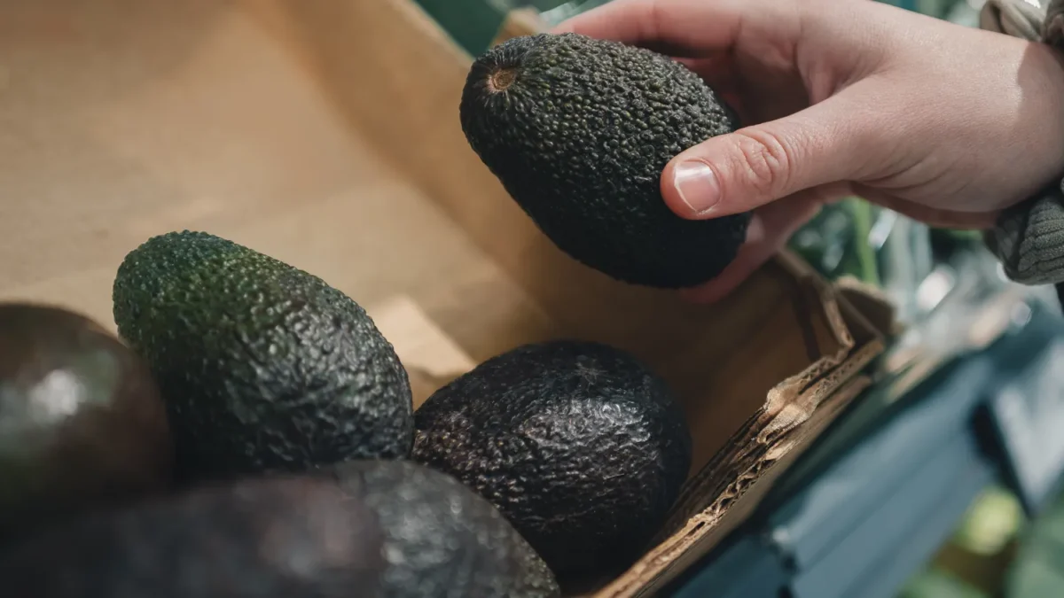 Je suis producteur d&rsquo;avocat et voici le détail à verifier pour choisir les plus goûtu (sans même appuyer dessus)