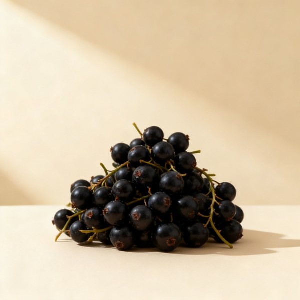 Cassis