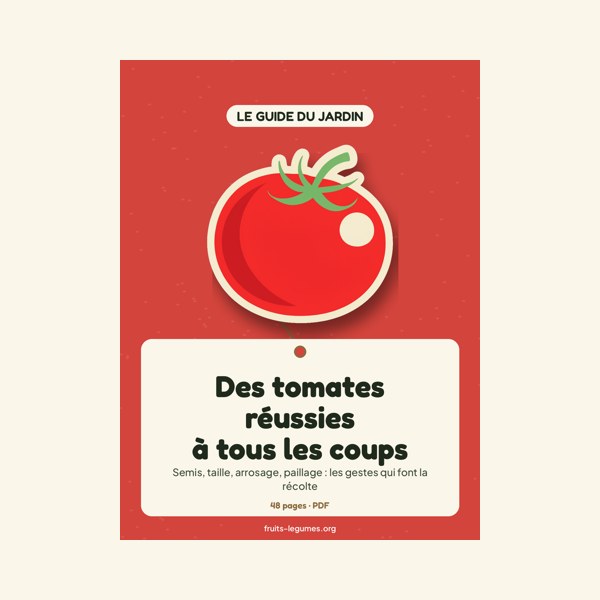 Des tomates réussies à tous les coups