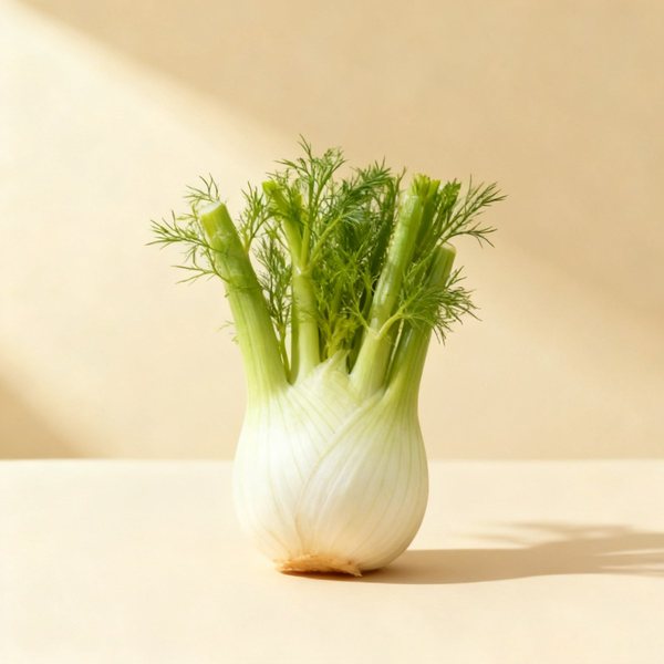 Fenouil