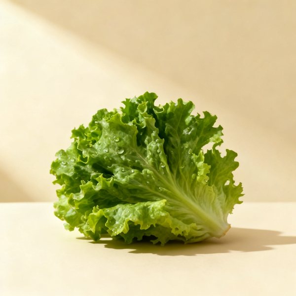 Feuille de chêne
