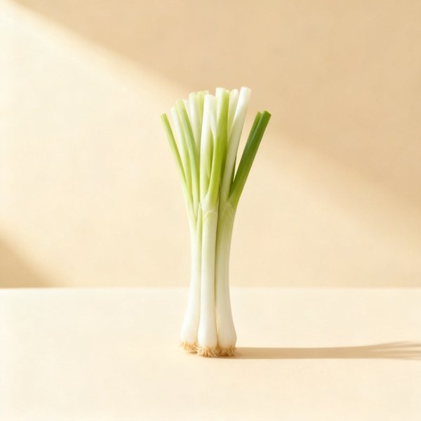 Petit oignon blanc