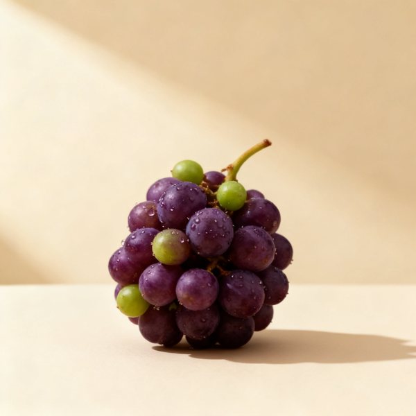 Raisin de mer