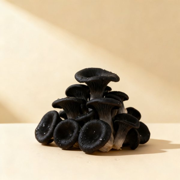Trompette de la mort