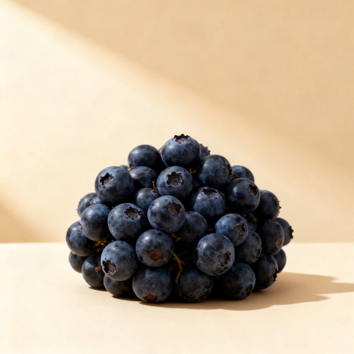 Aronia — photo