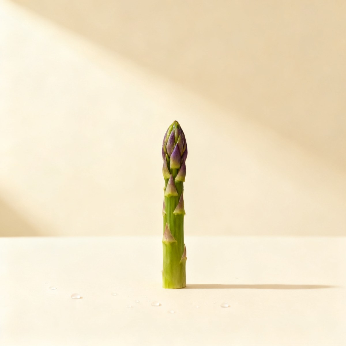 Asperge sauvage — photo