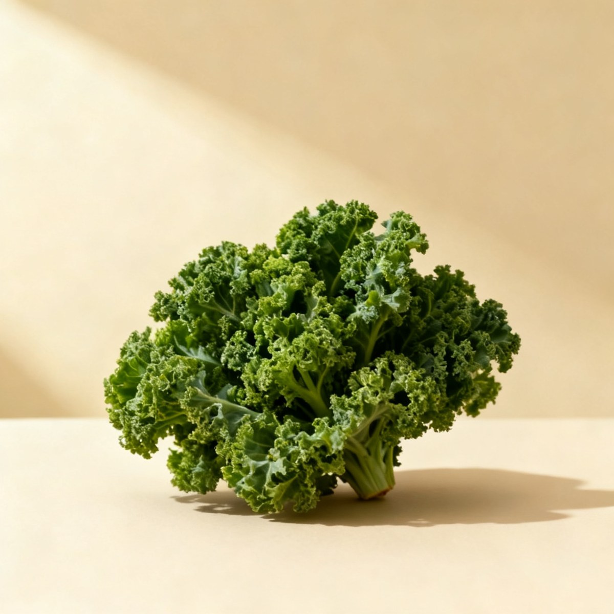 Chou frisé — photo