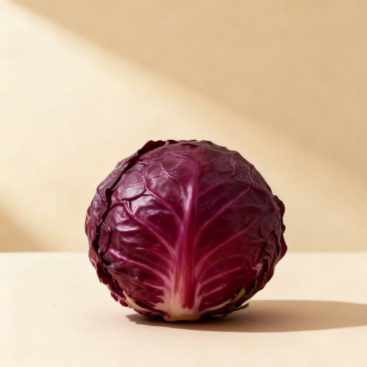 Chou rouge — photo
