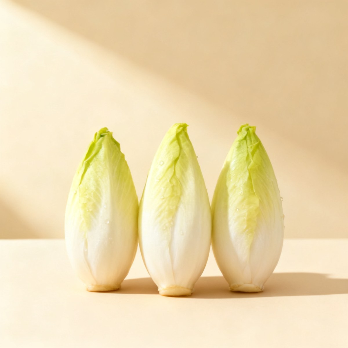 Endive — photo