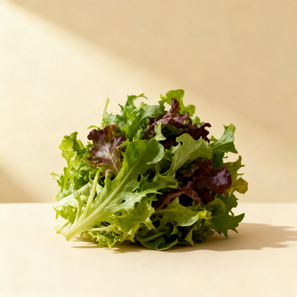 Mesclun — photo