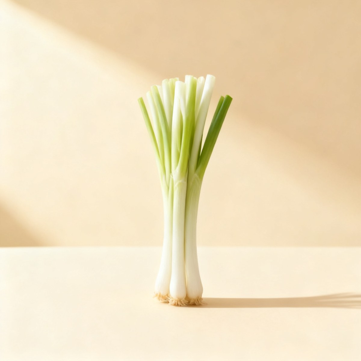 Petit oignon blanc — photo
