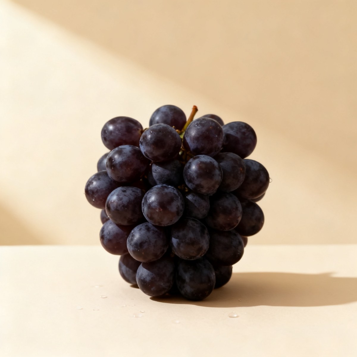 Raisin — photo