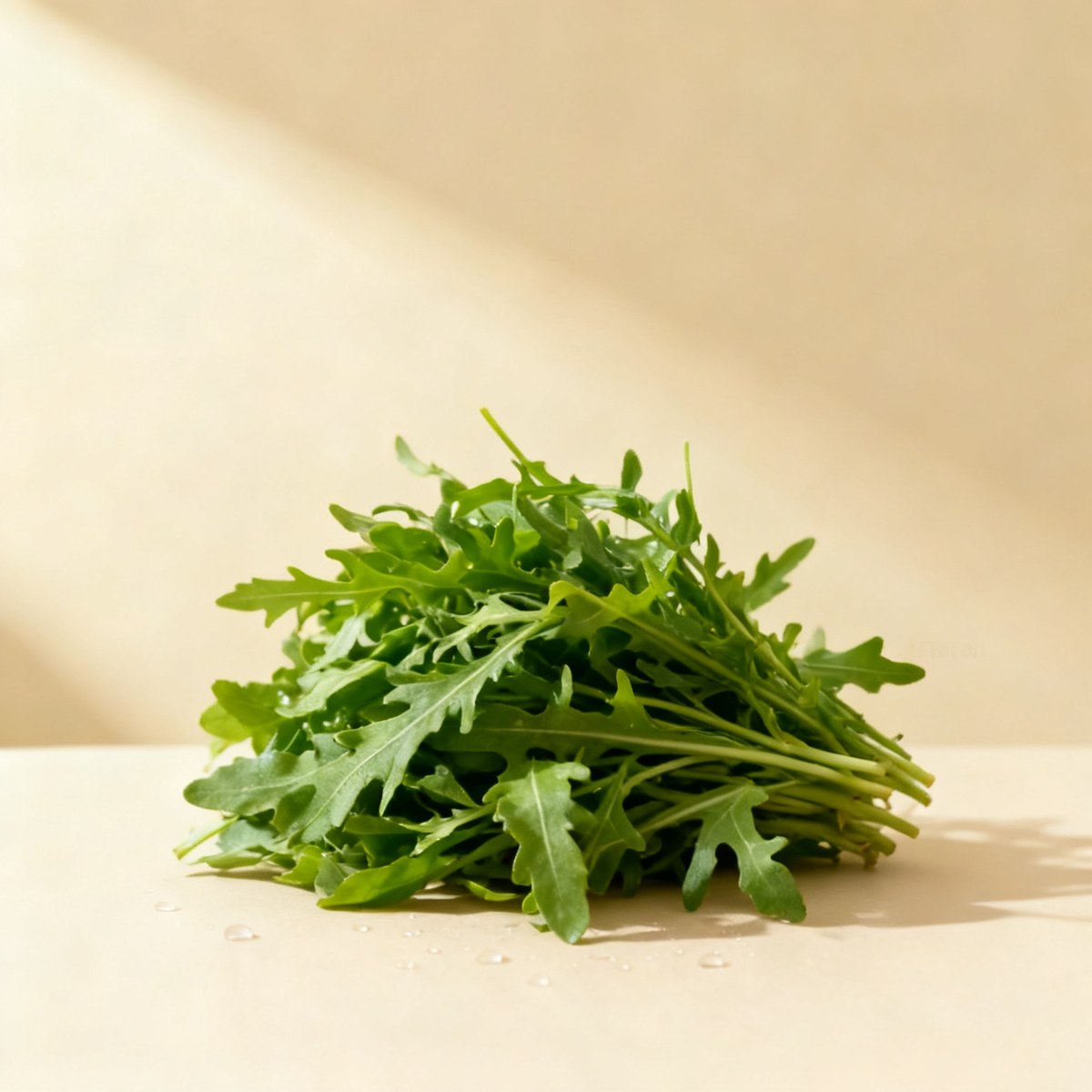 Roquette — photo